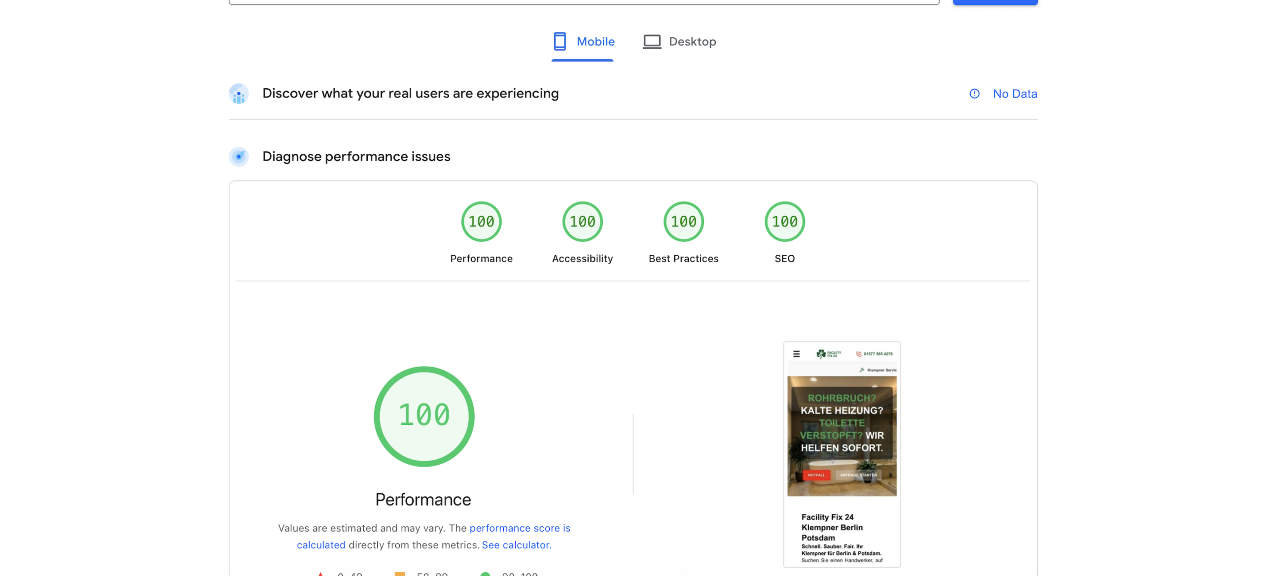Google PageSpeed Insights Mobile Score